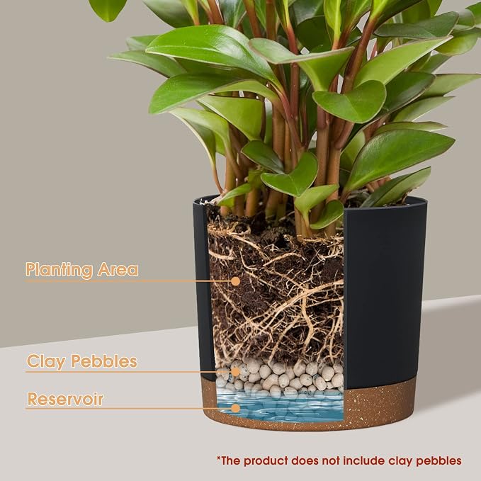 kubvici Plant Pots for Indoor Plants, 2 Pack 12 Inch Pots for Plants, Lightweight Large Planters for Indoor Outdoor, Big Plastic Black Pot Flower Pot with Drainage (12” Black)