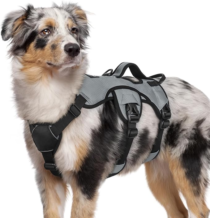 rabbitgoo Escape Proof Dog Harness for Medium, No Pull with Lift Handle | No Escape, Full Soft Padded, Reflective Adjustable Vest, Leash Clip for Walking Hiking Training, Grey, Medium