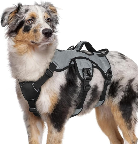 rabbitgoo Escape Proof Dog Harness for Medium, No Pull with Lift Handle | No Escape, Full Soft Padded, Reflective Adjustable Vest, Leash Clip for Walking Hiking Training, Grey, Medium
