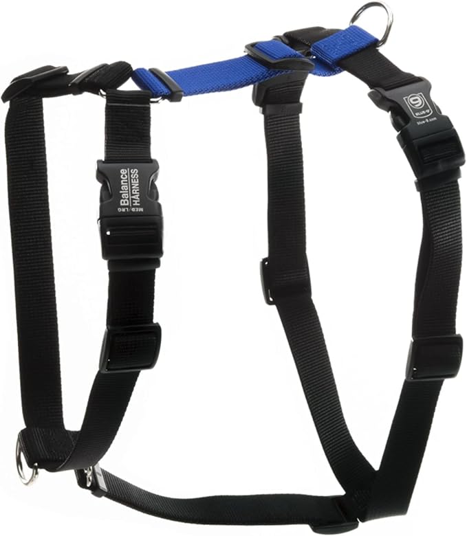 Blue-9 Buckle-Neck Balance Harness, Fully Customizable Fit No-Pull Harness, Ideal for Dog Training and Obedience, Made in The USA, Blue, Small