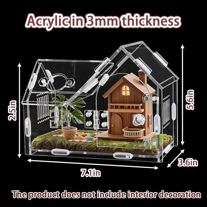 Acrylic Jumping Spider Terrarium with Magnetic Lock – 5.6” Tall Transparent Enclosure for Tarantulas, Hermit Crabs & Small Insects – Secure Ventilated Habitat with Easy Snap Assembly