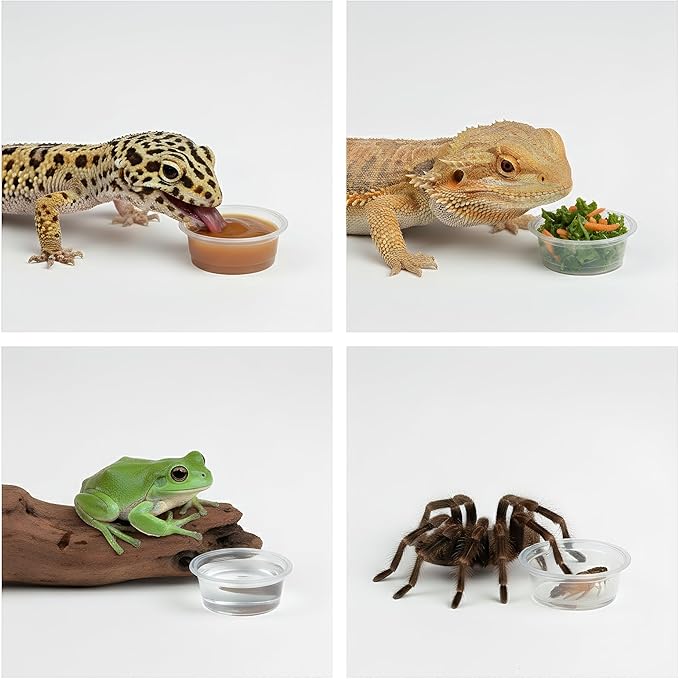 TOPZEA 500 Pack Gecko Food and Water Cups, 0.5 oz Small Plastic Gecko Feeding Dish Reptile Feeder Water Bowls for Lizard Crested Gecko Tarantula and Small Pets, Reptile Accessories