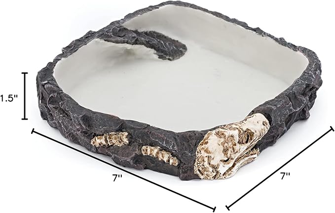 PENN-PLAX Reptology Reptile Fossil Rock Food/Water Dish – Perfect for Bearded Dragons, Geckos, Chameleons, Snakes, Hermit Crabs, and Many More – Large