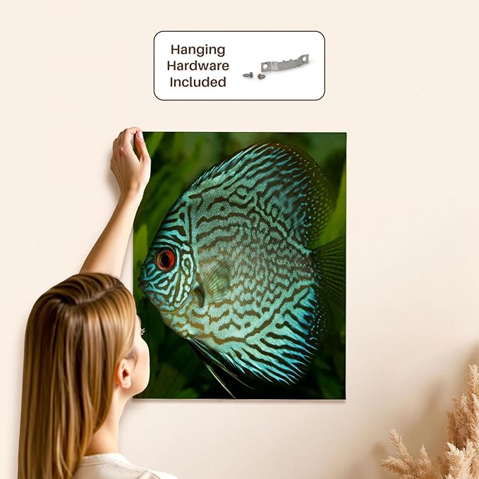 3dRose Blue Exotic Discus Fish Museum Grade Canvas Wrap 16x20