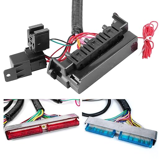 Standalone Wiring Harness, Fit for 97-06 GM LS1 Vortec Engine 4.8 5.3 6.0 L | 4L60E DBC, Red/Blue PCM, LS Swap Engine Harness, Stand Alone Wire Harness, Drive by Cable Throttle Body