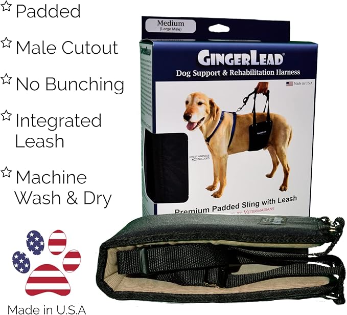 Dog Sling Hind Leg Support, M/LG Unisex with Cutout, Made in USA | Help Pets Walk, K9s Recover from Surgery, Fits Male & Female, Integrated Leash, Machine Wash/Dry, Chest Harness NOT Included