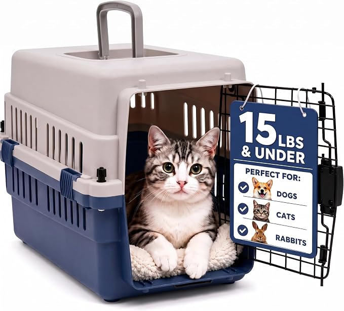 Hard-Sided Pet Carrier for Cats and Small Dogs, 20" Sturdy Travel Kennel with Secure Wire Door & 360° Ventilation, Portable Plastic Crate for Vet Visits & Car Travel (Blue/Grey)