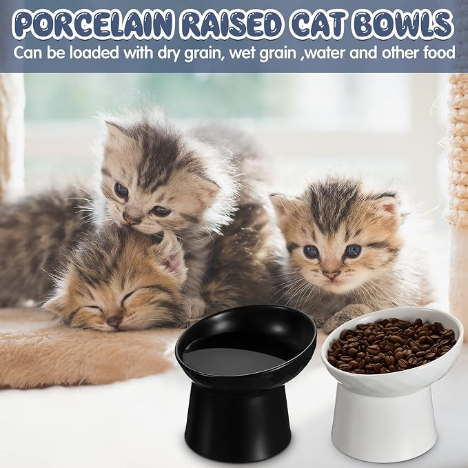 4 Pcs Ceramic Raised Cat Bowls, Elevated Tilted Cat Bowl for Food Water, Stress Free, Backflow Prevention, Dishwasher Microwave Safe, Feeder Dish for Indoor Kitten, Small Dogs(White and Black)
