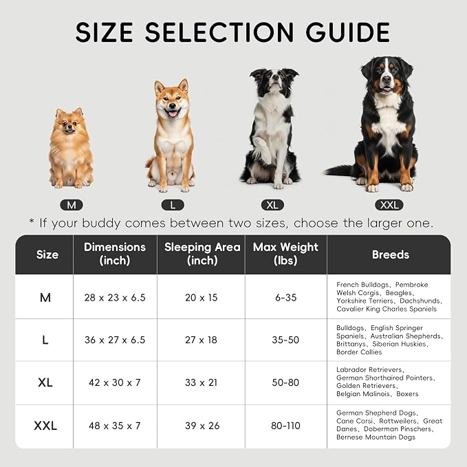 Homemate Dog Bed Large Sized Dog: 36"x27" Orthopedic Pet Bed with Toy | Large Dogs Bed with Non-Slip Botton & Removable Washable Cover Cat Bed Sofa L Outdoor Crate Pad Couch Dark Grey