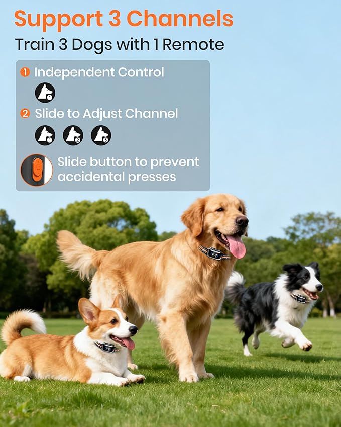 2-in-1 Bark Shock Collar 2 Pack - Color Screen Dog Training Collar with Beep/Vibration/Shock/Anti Bark 4 Modes for 2 Dogs, 3300FT Waterproof E Collar with Remote for Small Medium Large Dogs(8-120lbs)