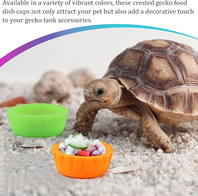 10 Pack Colorful Crested Gecko Feeding Dishes Reusable Small Reptile Food and Water Bowls Accessories for Cresteds, Tortoises, Crabs, and Small Pets10 Colors