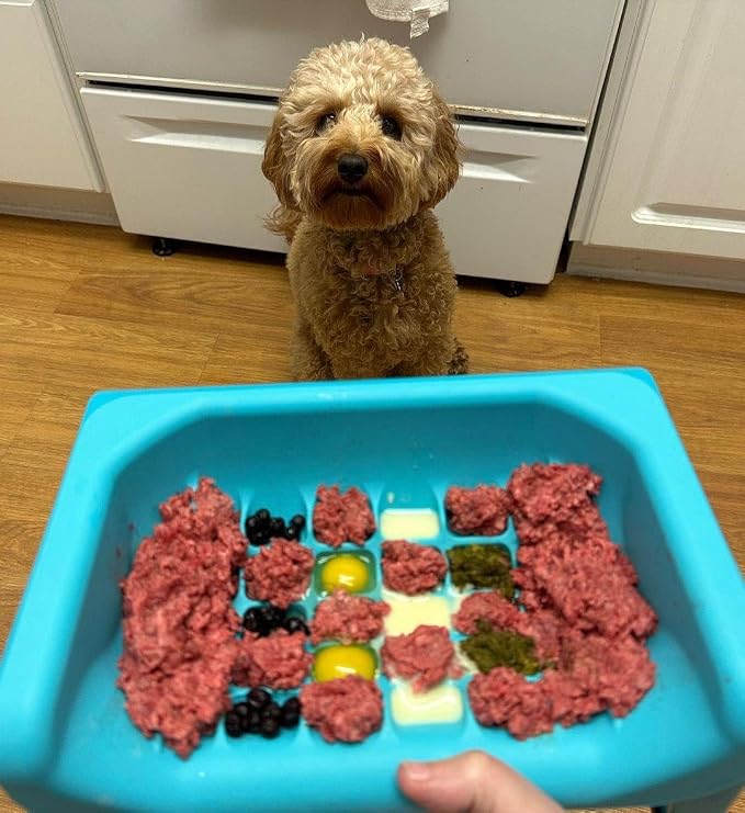 Fluff Trough Elevated Slow Feeder Dog Bowls | Slow Feeder Cat Bowl with Vet Approved & Non-Toxic Silicone Minimizes Neck Strain | Paced Eating Insert Designed for Flat-Faced Pets (Purple)