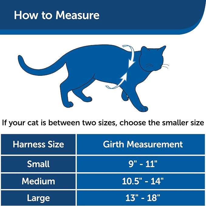 PetSafe Come with Me Kitty Harness and Bungee Cat Leash, Lilac, Small | Adjustable 2-Point Fit Applies Gentle Pressure to Shoulders, Not Neck, for Kittens and Small Cats with 9 in - 11 in Girth