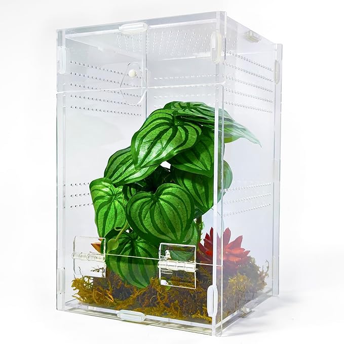 Jumping Spider Enclosure 6”x6”x10”, Arboreal Tarantula Enclosure, Praying Mantis Terrarium Critter Cage for Jumping Spider, Tarantula, Mantis, Snail, Isopods, Beetles, Millipedes