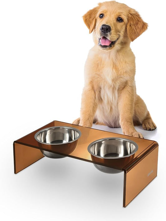 DBL2000D Keaton 5" Small/Medium Modern Acrylic Rectangular Elevated Pet Feeder with 20oz 2-Stainless Steel Bowls, Amber/Chrome