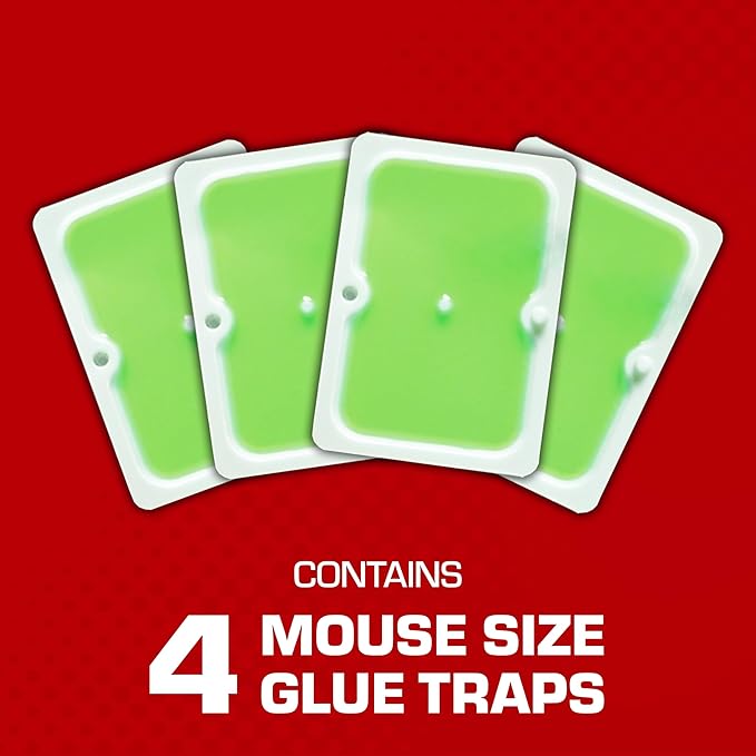 Tomcat Super Hold Glue Traps Mouse Size for Mice, Cockroaches, Spiders, and Scorpions, Ready-To-Use, 4 Traps