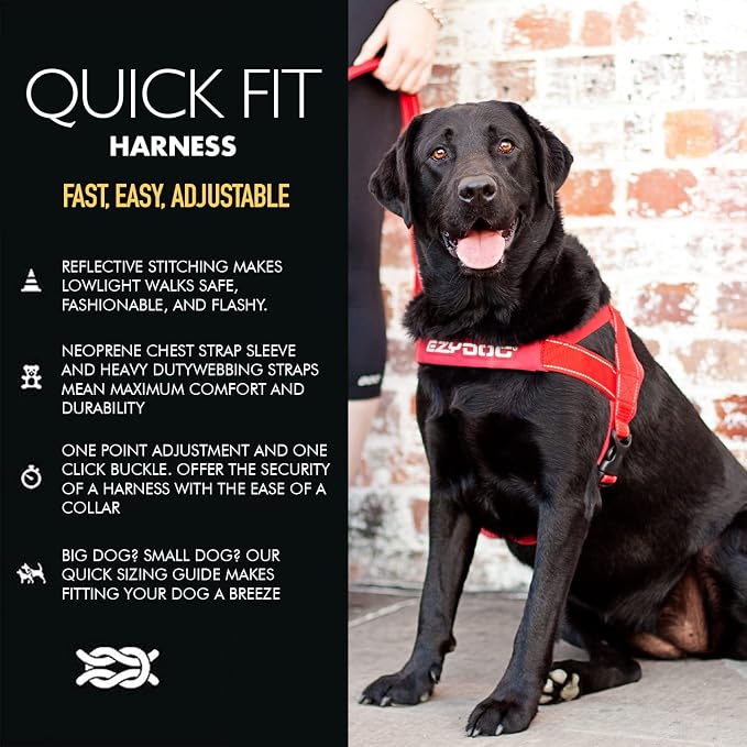 EzyDog Quick Fit Dog Harness, Soft Neoprene Padding - Medium, Purple | Fast One-Click Buckle, Adjustable Fit, Strong Reinforced Materials, Reflective Stitching, No Pull Dog Harness, Easy Walking