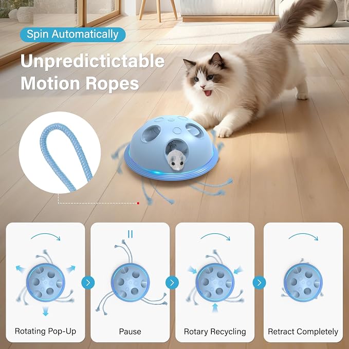Pawingcat Interactive Cat Toys for Indoor Cats with Plush Mouse and String | Automatic String,Hide and Seek ,Blue