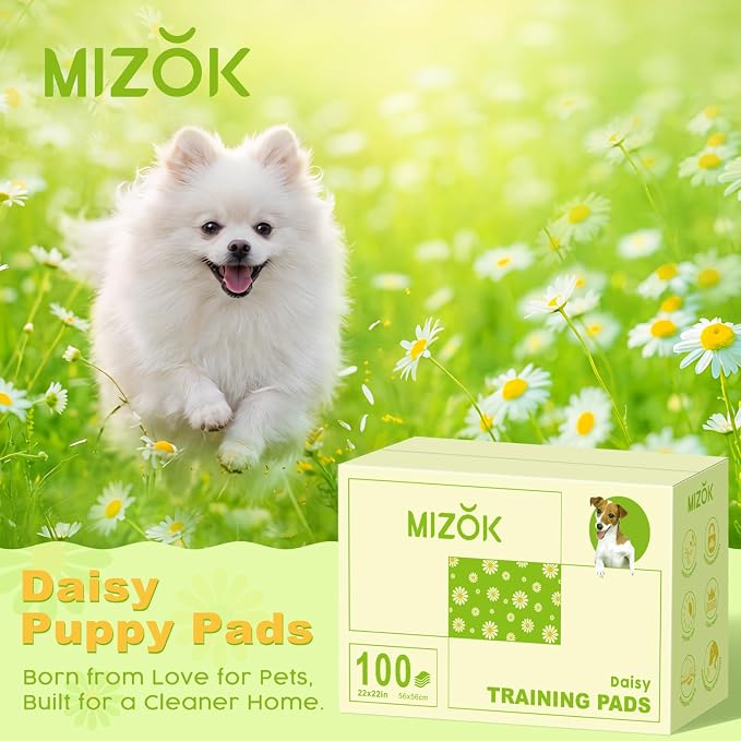 MIZOK Puppy Pads with Adhesive Tabs Green Daisy Prints Small 22x22in 100Ct | Cute Printed Wee Wee Pads for Dogs Feature Fun Designs and Sticky Bottom Strips to Keep Indoor Training Mess Free