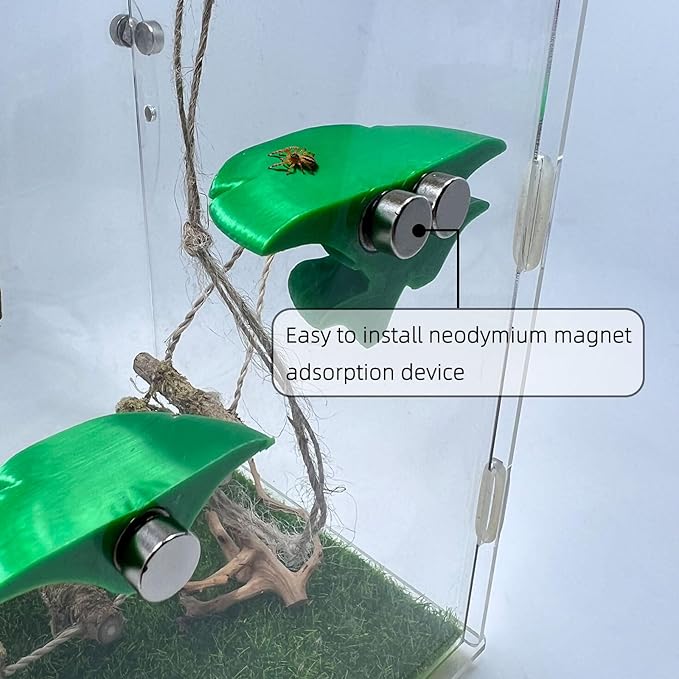 Jumping Spider Mushroom Shelf, Magnetically Concealed Jumping Spider Habitat,Serves As Enclosure Decorate Accessories for Spider Climbing Feeding and Platforms (Green)