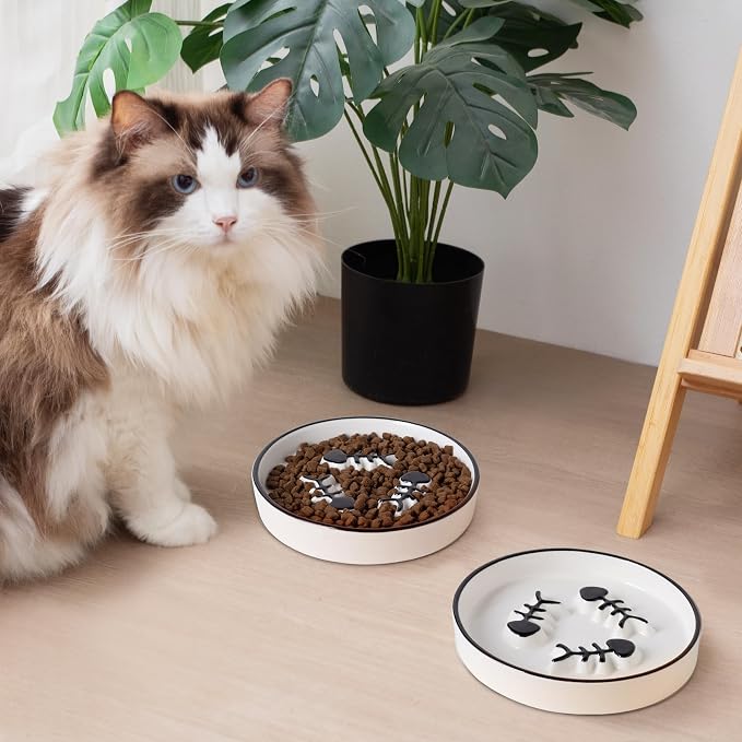 Ceramic Cat Bowls Set, Whisker-Friendly Feeding Dishes, Wet & Dry Food, 2-Pack