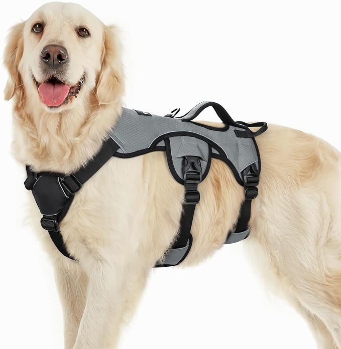 rabbitgoo Escape Proof Dog Harness for Large, No Pull with Lift Handle | No Escape, Full Soft Padded, Reflective Adjustable Vest, Leash Clip for Walking Hiking Training, Grey, Large