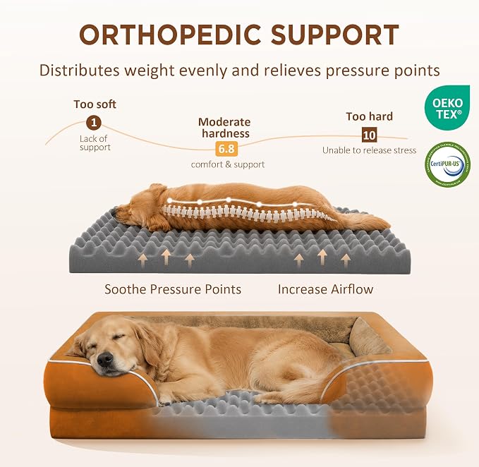 Comfort Expression Waterproof Orthopedic Dog Beds for Extra Large Dog | Supportive Egg Crate Foam Big Dog Bed with Removable Bolster, Dog Couch with Washable Cover & Non-Slip Bottom, 53x42Inch
