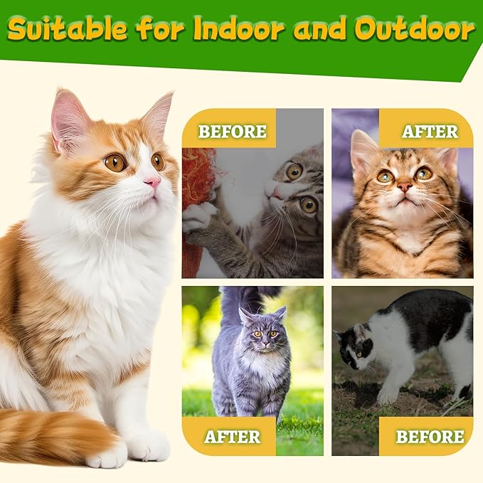 Mimo Style Cat Deterrent Outdoor,Natural Peppermint Oil Cat Deterrent Outdoor Indoor,Keep Cats Out of Yard Permanently,Keep Cats Off Lawn,Garden,Furniture,Mulch & Flower,Keep Cats Away