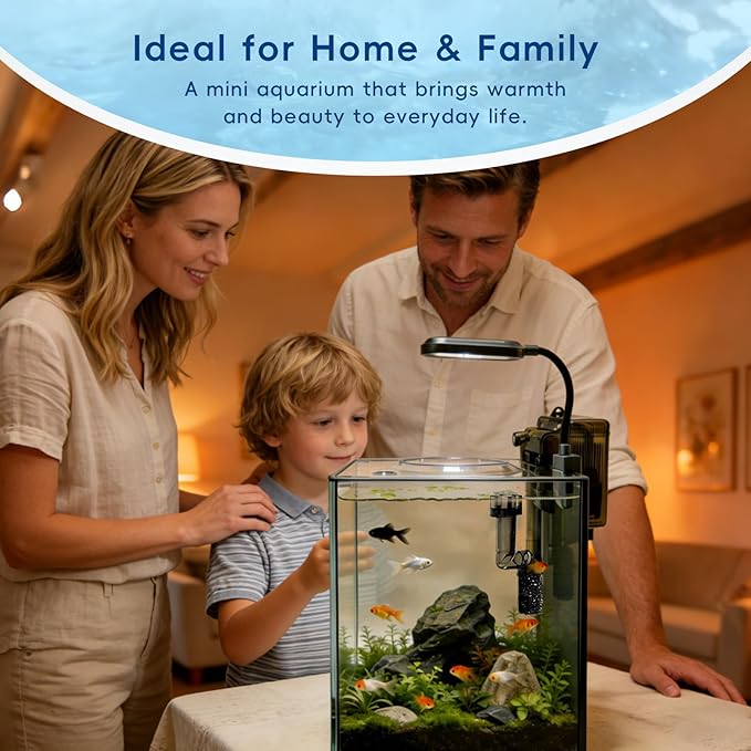 2.1 Gallon Nano Aquarium Kit with Lid, Space Saving Hang-On Filter and LED Light, Ultra-Clear Rimless Glass Desktop Fish Tank for Small Fish, Shrimp, and Betta