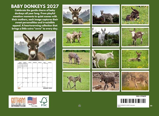 Baby Donkey Calendar 2027 Monthly Wall Calender 12 Month