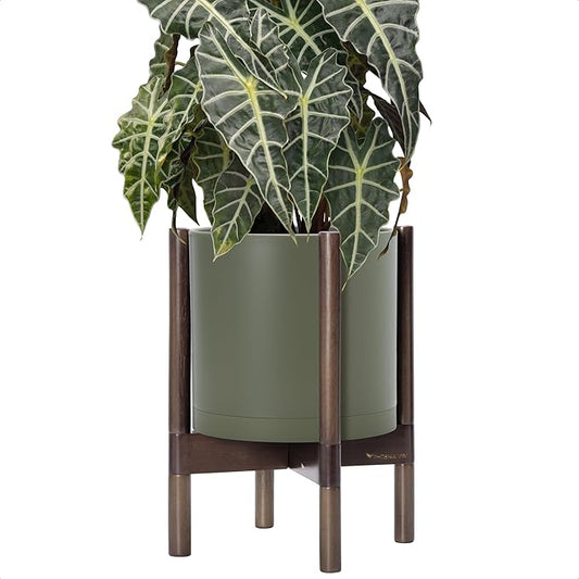 D'vine Dev Plastic Pot with Walnut Wood Stand, Olive, 10 in, 55-C-L-3 | Mid-Century Inspired Design, Elevated Plant Display, Clean Lines, Sturdy Support, Modern Space-Saving Style