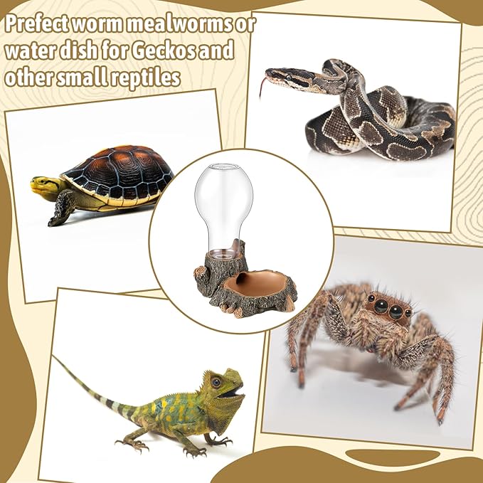 Briwooody 2 Pcs Automatic Reptile Water Dispenser 13.5 oz Large Bearded Dragon Water Bowl Reptile Dish Feeder for Terrarium Tank, Turtle, Geckos, Frog, Tortoise, Amphibians, Lizards