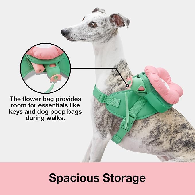 VETRESKA Flora Dog Harness, Leash and Collar Set, No Pull Vest Harness, M | for Walking and Training, Adjustable, Easy Control and Soft Padded Pet Harness and Backpack for Small Medium Large Dogs