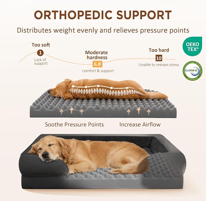 Comfort Expression Waterproof Orthopedic Dog Beds for Extra Large Dog | Supportive Egg Crate Foam Big Dog Bed with Removable Bolster, Dog Couch with Washable Cover & Non-Slip Bottom, 53x42Inch