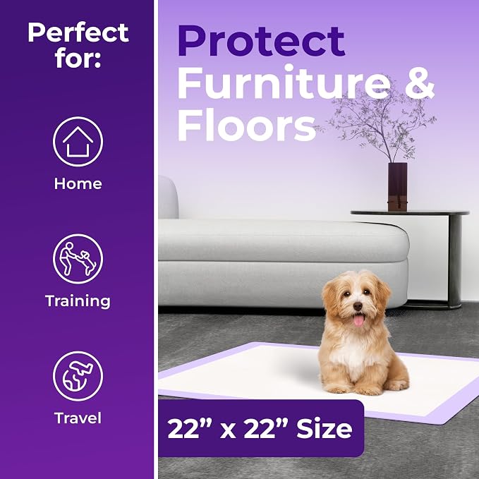 Pee Pads - Super Absorbent & Leak-Proof Pee Pads for Dogs - Puppy Pads - Waterproof Dog Pads, Dog Training Pads for Cats, Rabbits (Pack of 80 - 22x22)