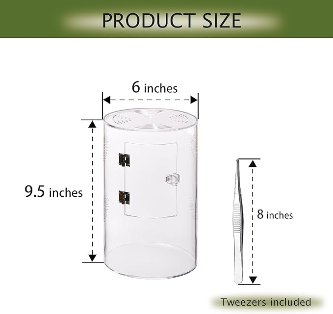 Acrylic Terrarium for Reptiles & Spiders – Small/Medium/Large Leak-Proof Enclosure (Horizontal/Vertical) | Ideal for Tarantulas, Jumping Spiders, Frogs & Geckos(Medium, Round)