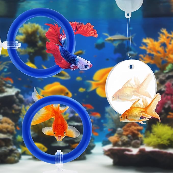 2pcs Bettas Fish Enrichment Toys Ring, with Mirror/Floating Ball, Exercise Floating Mirrors and Training Ring for Fish Tank, Aquarium Feeding Rings Accessories