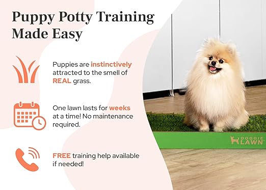 DoggieLawn Real Grass Dog Pee Pads w/ Tray - Standard Dog Potty Pad 24x16 | No-cleaning, odor-reducing puppy potty training pad for housebreaking, indoor or outdoor use, real grass, replace when needed