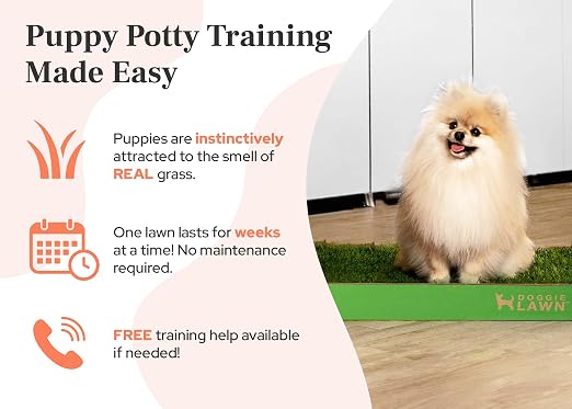 DoggieLawn Real Grass Dog Pee Pads with Tray - Large Dog Potty Pad 24x24 | No-cleaning, odor-reducing puppy potty training pad for housebreaking, indoor or outdoor use, real grass, replace when needed