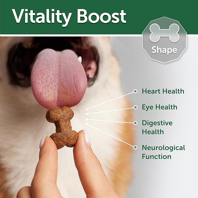 Nature's Protection Low Calorie Dog Treats - Functional Treats for Endurance, Training Treats for Small, Medium & Large Breed Adult Dogs with Light Fur (Superior Care - Insects & Rice, 5.29 oz)