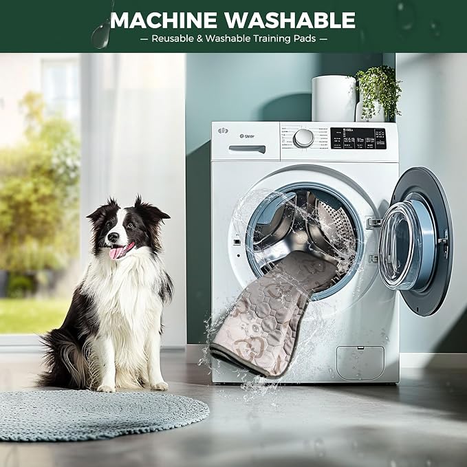 FXW Washable Pee Pads for Dogs, Super Absorbent, 39" Square, 2 Packs | Machine washable, Non-slip backing