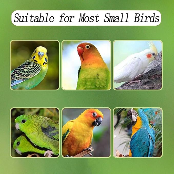 Automatic Bird Feeder for Cage, Automatic Acrylic Bird Feeder No Mess Bird Cage for Small Bird Parrots Canary Parakeet Budgerigar Crested Myna Cockatiel (Small)