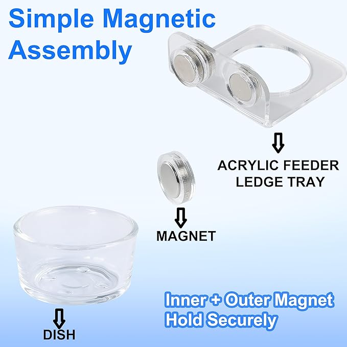 Strong Magnetic Reptile Ledge Acrylic Gecko Feeding Ledge Reptile Food Water Feeder Dish for Chameleon Spider Bearded Dragon Jumping Spider Tank Accessories