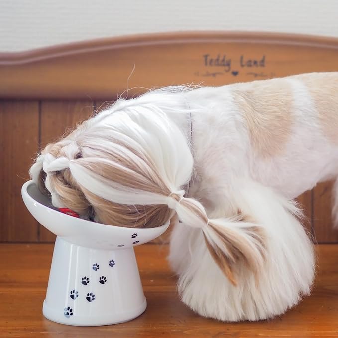 Necoichi Raised Dog Food Bowl, 15° Tilted (Dog, Extra Wide Tilted)