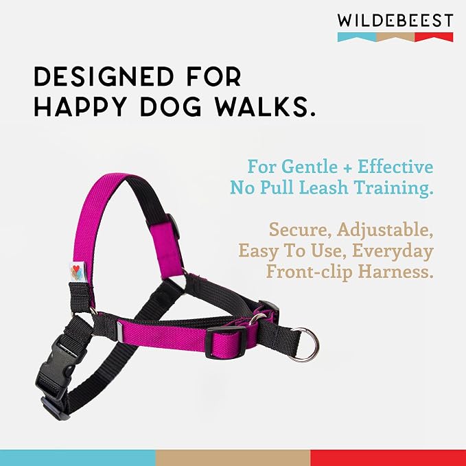 No Pull Dog Harness | Comfortable Dog Training Harnesses | Effective No Pull Harness Design | Ideal Dog Harness for Small Dog and Puppy | 4-Point Adjustable (XS - 15~20 inch Girth, Fuchsia)
