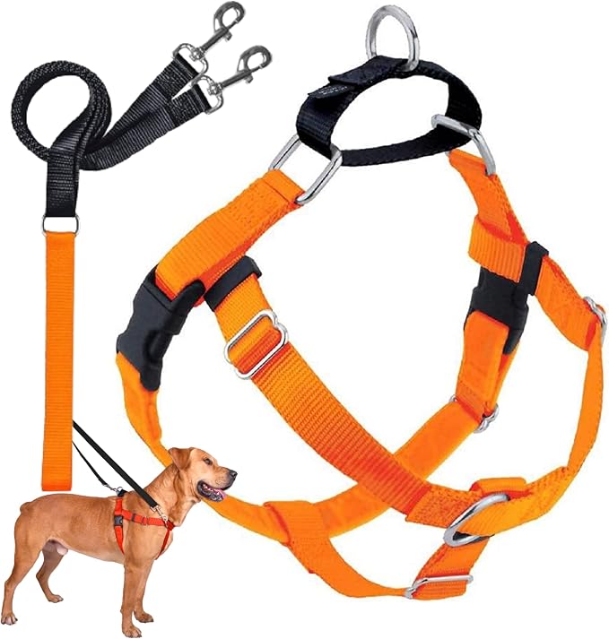 2 Hounds Design Freedom No Pull Dog Harness, Adjustable Harness and Leash Set, Easy Walking & Comfortable Control, Fits Small, Medium & Large Dogs, Solid Colors, Made in USA, 1" LG, Neon Orange