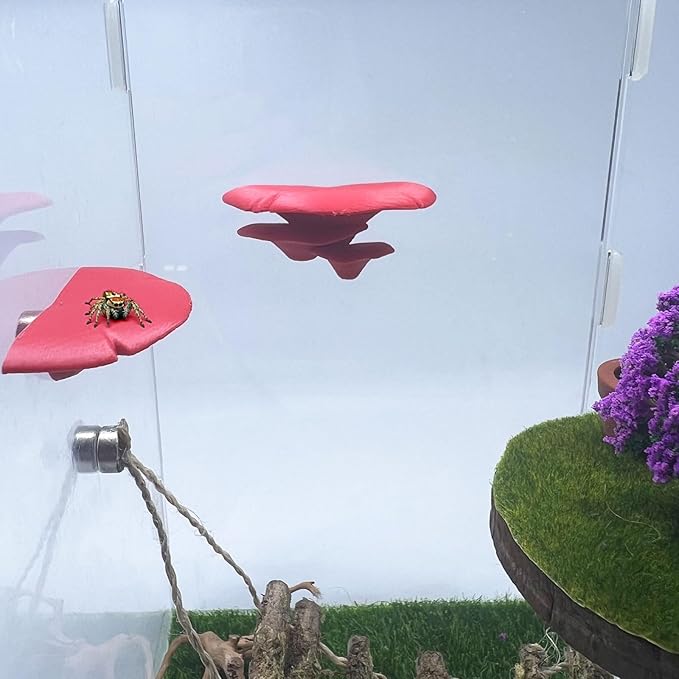 Jumping Spider Mushroom Shelf, Magnetically Concealed Jumping Spider Habitat,Serves As Enclosure Decorate Accessories for Spider Climbing Feeding and Platforms (Red)