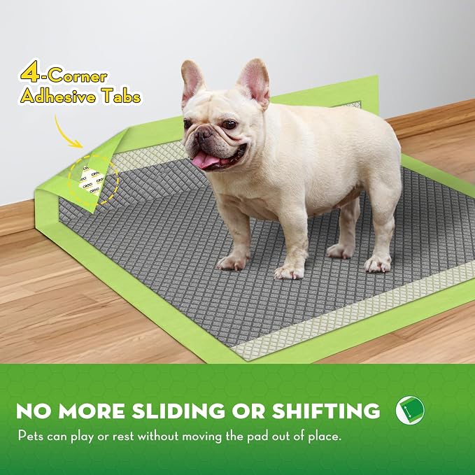 CROCI Charcoal Puppy Pads with Adhesive Tabs 2X Odor Control 22x22in 100Ct | Super Absorbent Pee Pads for Dogs, Quick-Dry Surface, Unscented, Renewable Bamboo Material, Disposable