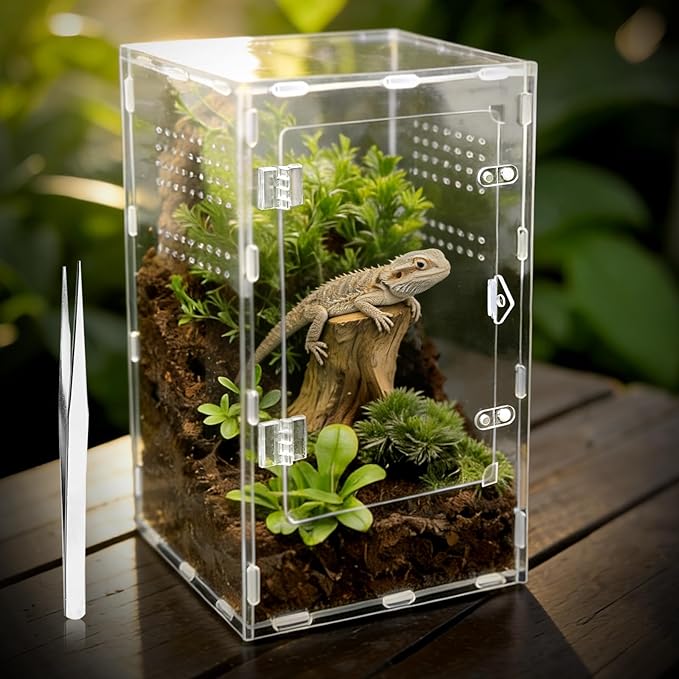 Jumping Spider Enclosure, Insect Terrarium, Bug Cage, Acrylic Terrarium for Tarantula, Snail, Praying Mantis, Frog, and Small Reptiles (7.8" x 7.8" x 13.7")