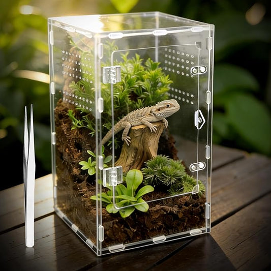 Jumping Spider Enclosure, Insect Terrarium, Bug Cage, Acrylic Terrarium for Tarantula, Snail, Praying Mantis, Frog, and Small Reptiles (7.8" x 7.8" x 13.7")